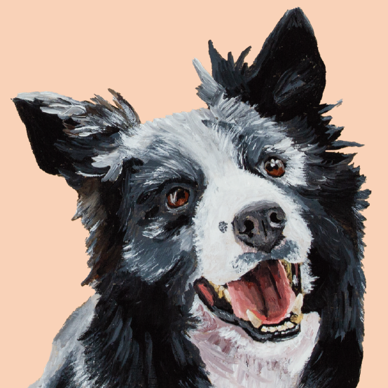 Tasselled Bookmark - Shep the Border Collie
