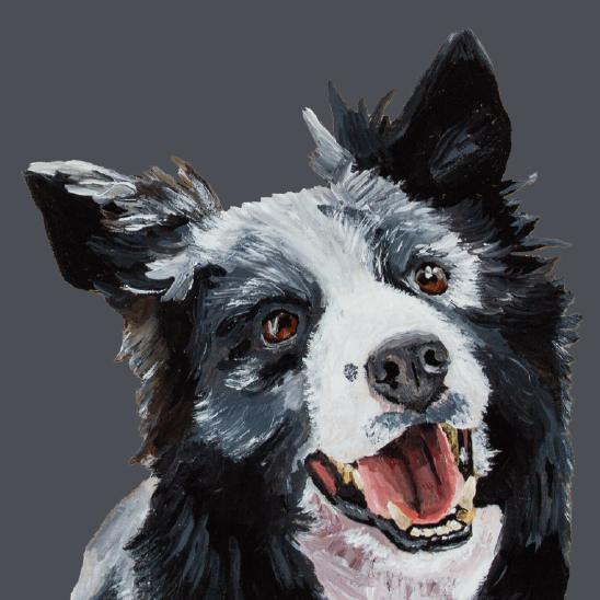 Tasselled Bookmark - Shep the Border Collie