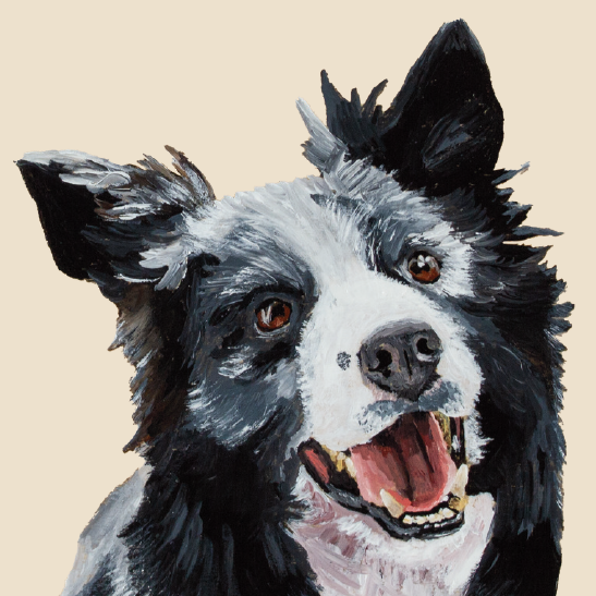 Tasselled Bookmark - Shep the Border Collie