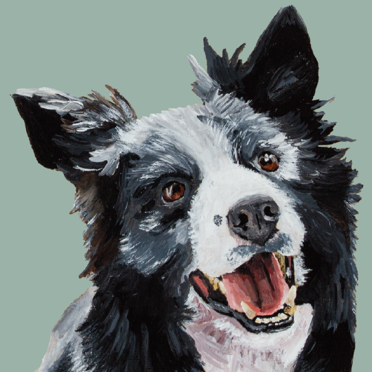 Tasselled Bookmark - Shep the Border Collie