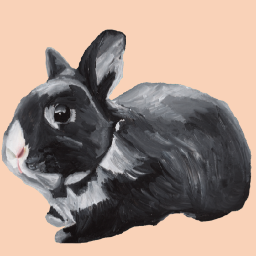 Tasselled Bookmark - Sobey the Rabbit