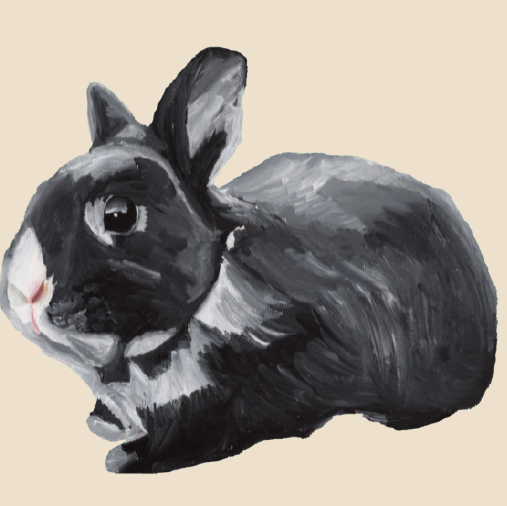 Tasselled Bookmark - Sobey the Rabbit