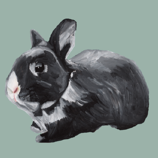 Tasselled Bookmark - Sobey the Rabbit