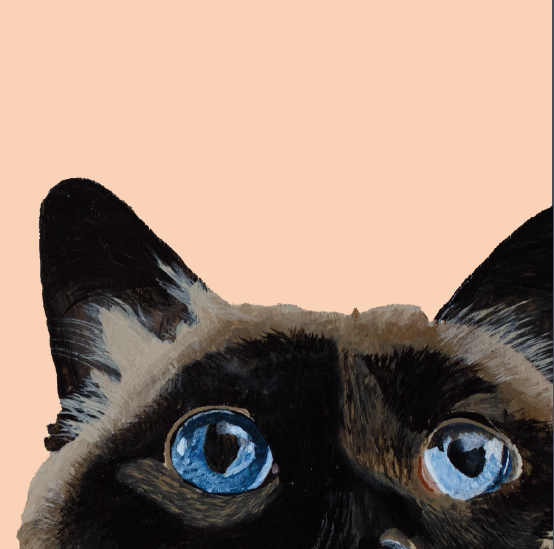 Tasselled Bookmark - Winnie the Cat
