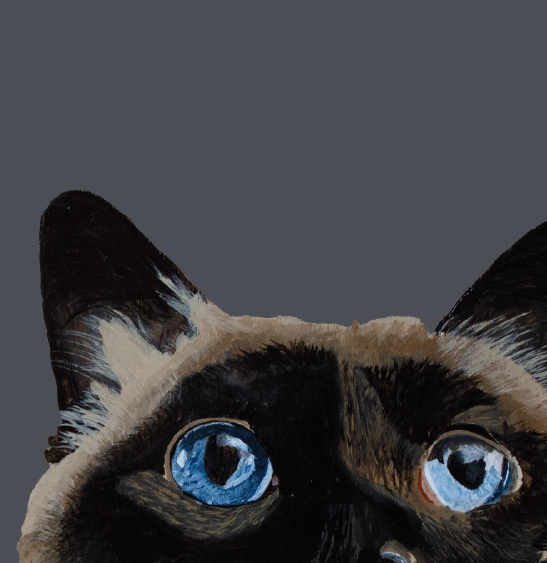 Tasselled Bookmark - Winnie the Cat