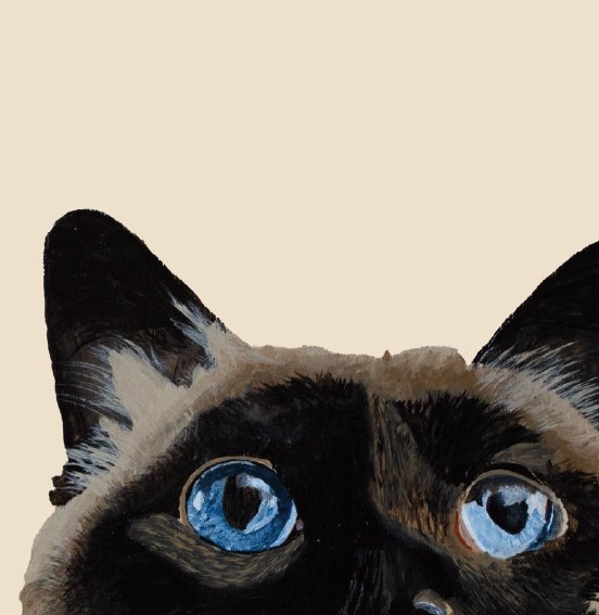 Tasselled Bookmark - Winnie the Cat