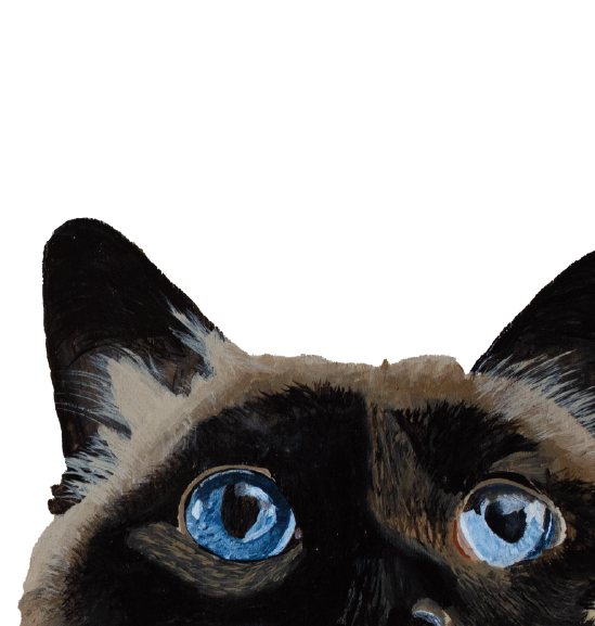 Tasselled Bookmark - Winnie the Cat