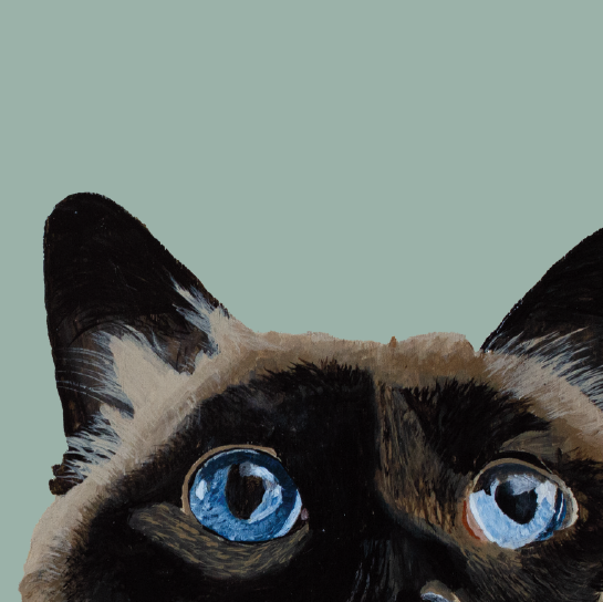 Tasselled Bookmark - Winnie the Cat