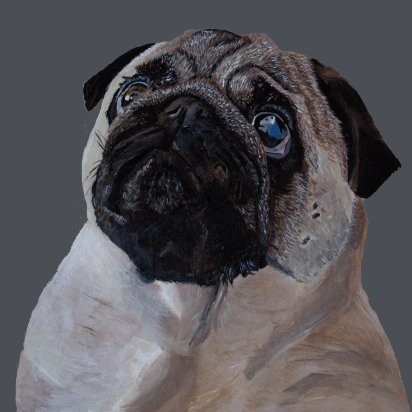 close up of a pug painting on a navy background