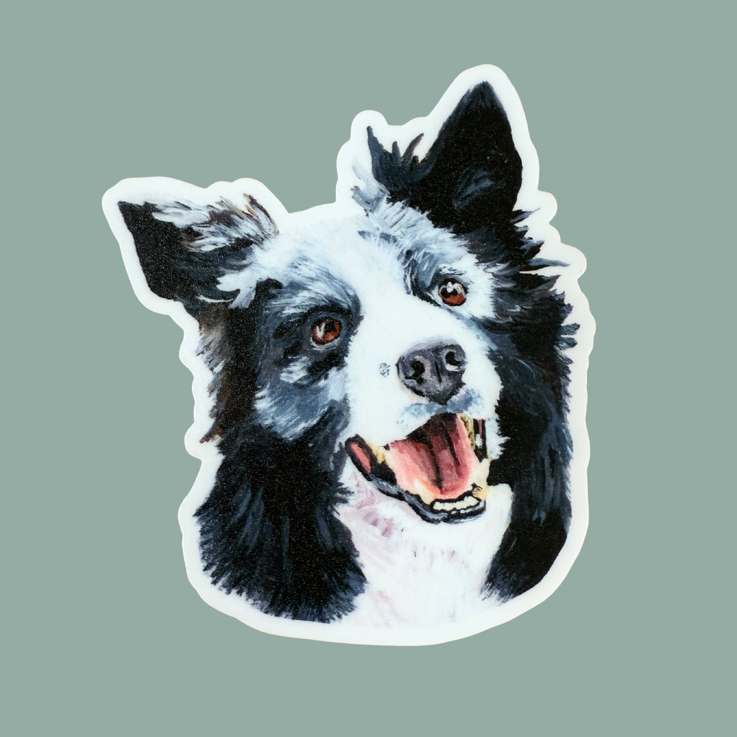 Sticker of a border collie face with a teal background