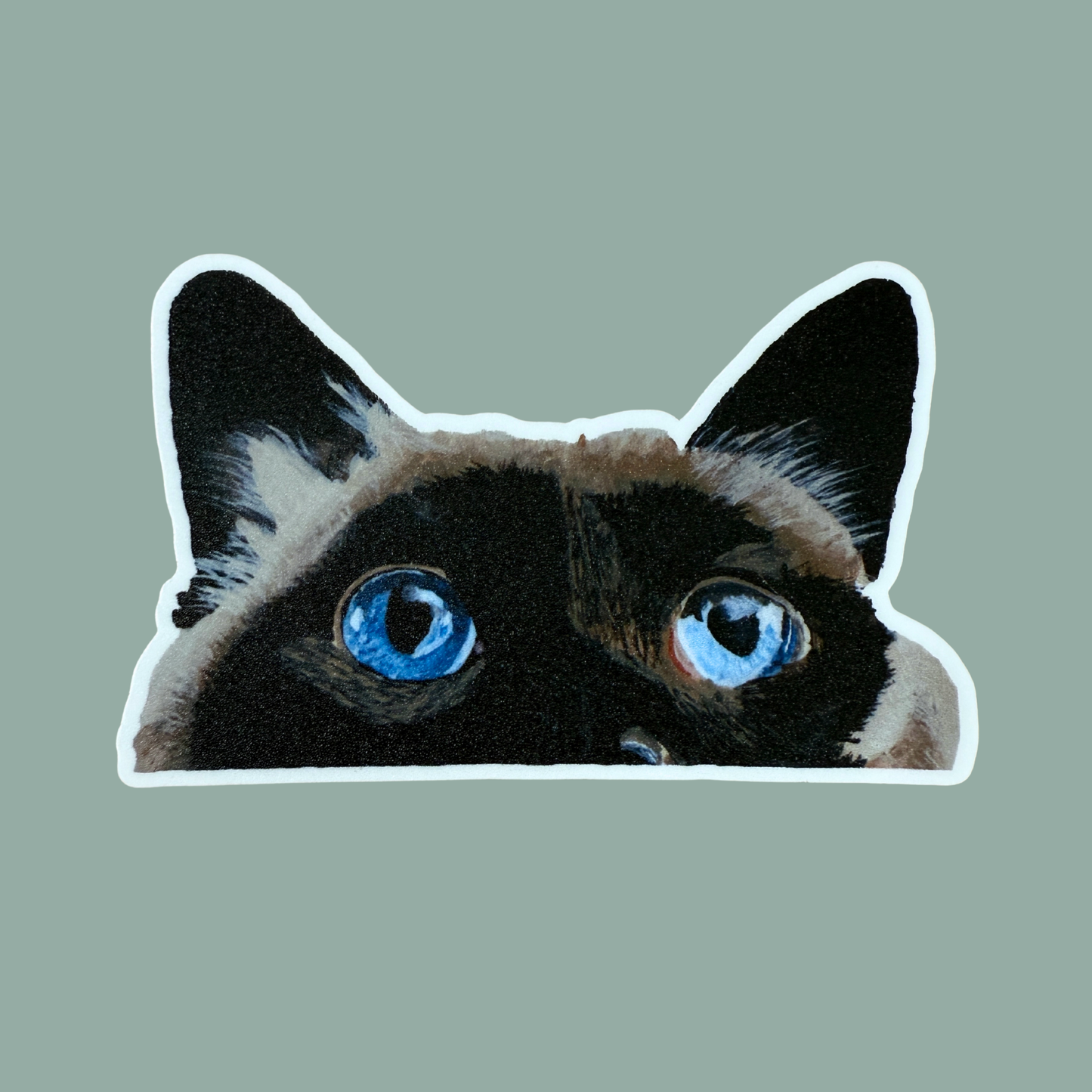 Sticker of a cat with blue eyes on a solid background. Half of the cat's face is showing.