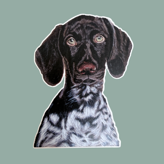 Die-Cut Vinyl Sticker - Baxter the German Shorthaired Pointer