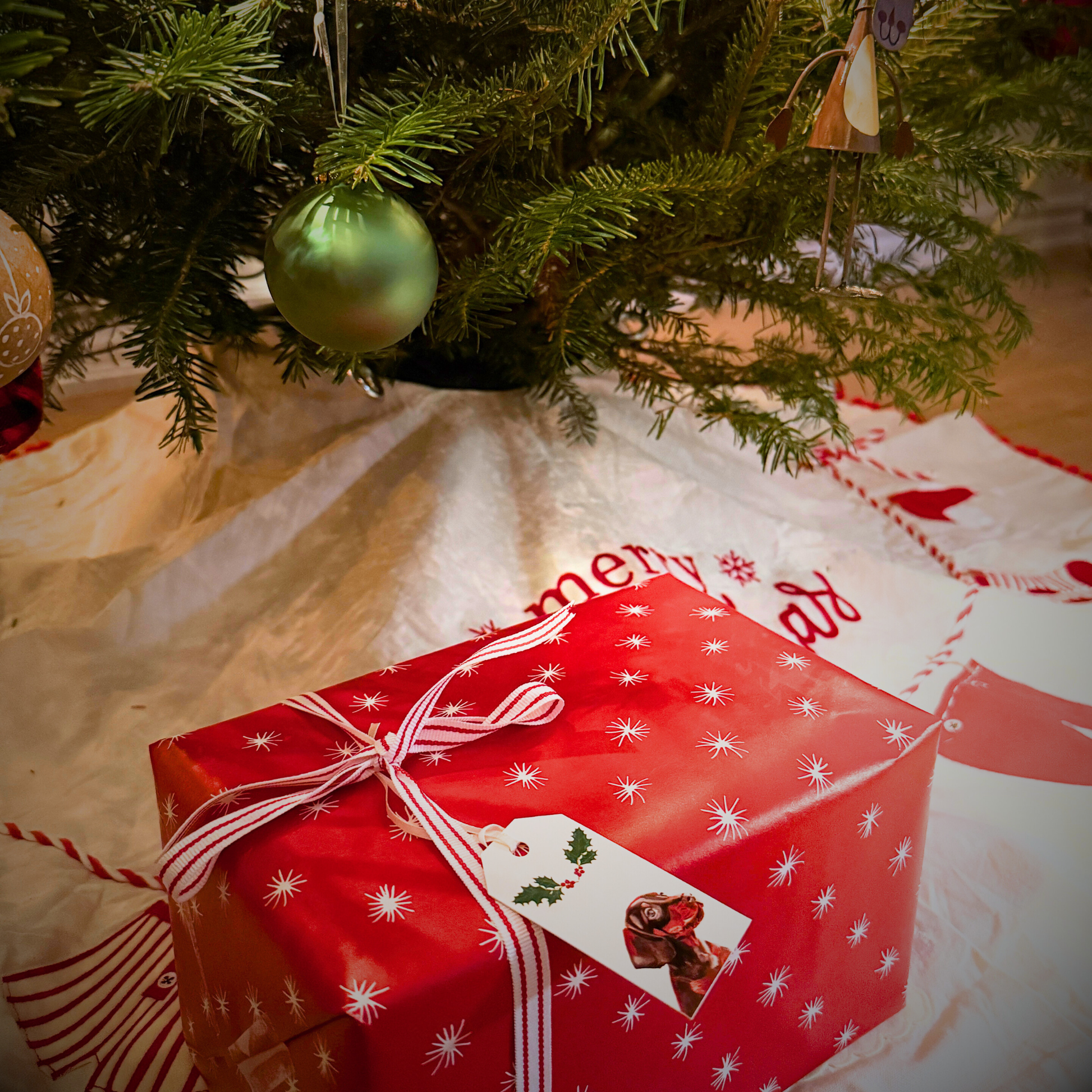 Red gift box with white star pattern under a decorated Christmas tree. The gift has a white tag with a dog print.