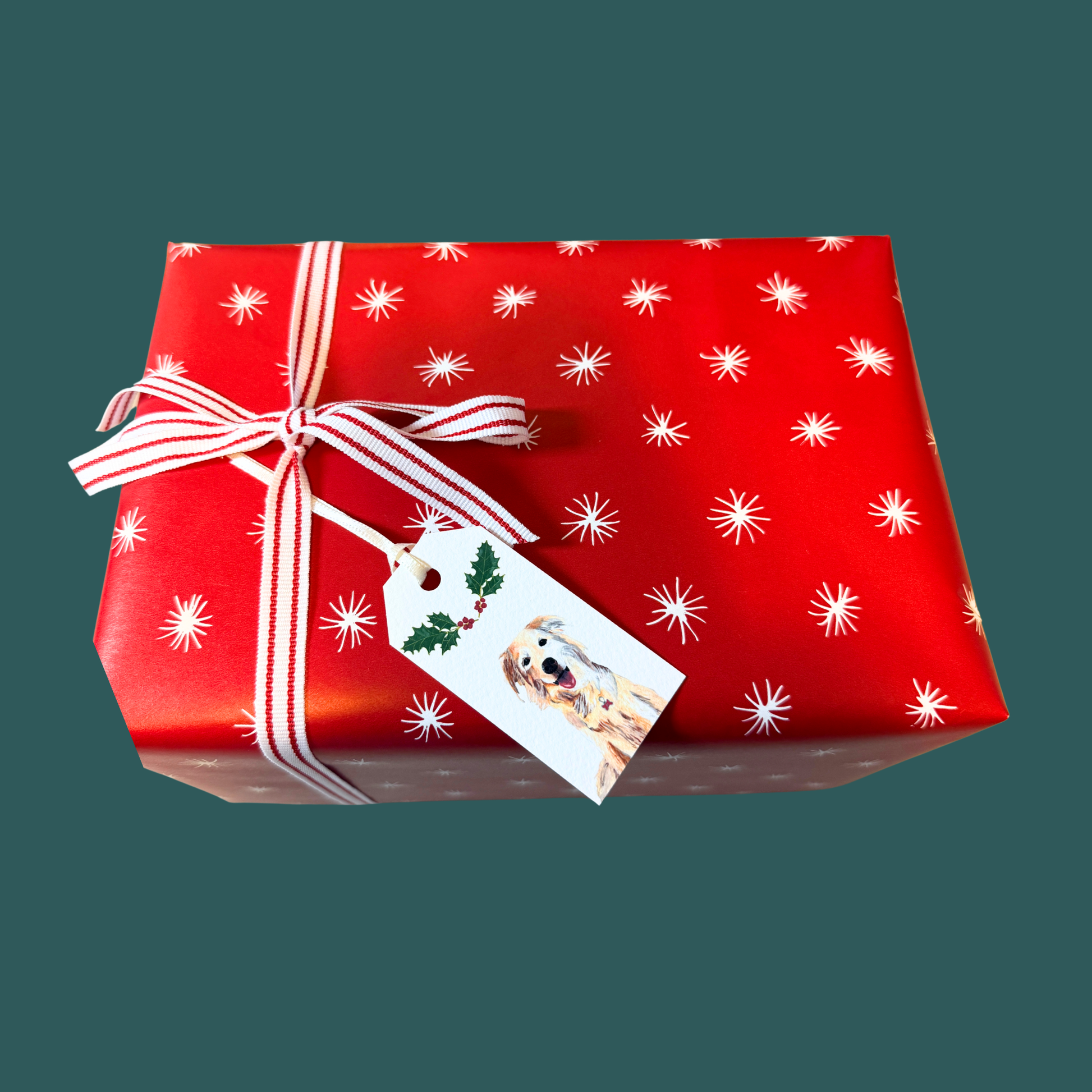 Red gift box with white star pattern, white ribbon, and a tag with a dog on a transparent background